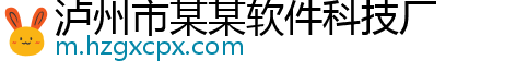 泸州市某某软件科技厂